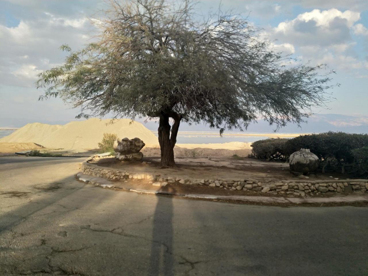 尼夫佐哈Carmit'S Dead Sea Place别墅 外观 照片