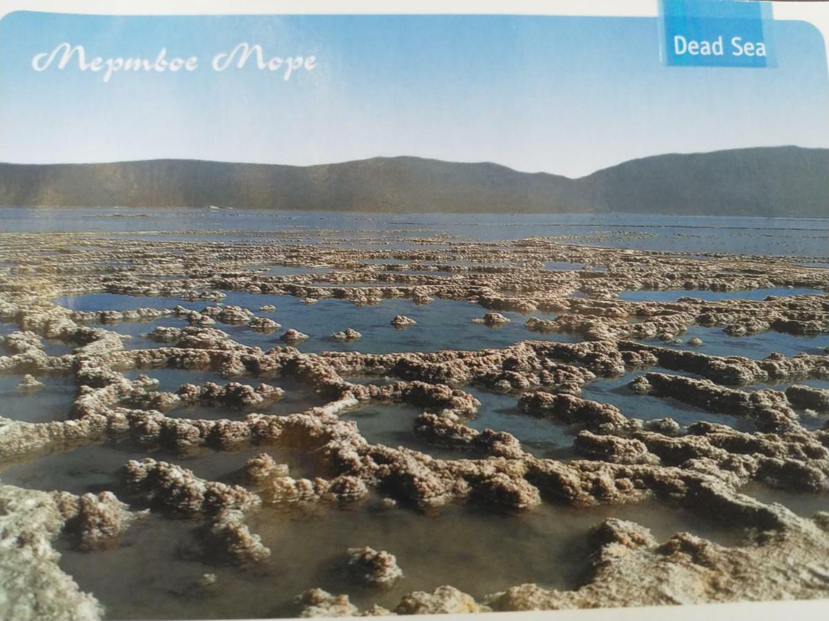 尼夫佐哈Carmit'S Dead Sea Place别墅 外观 照片